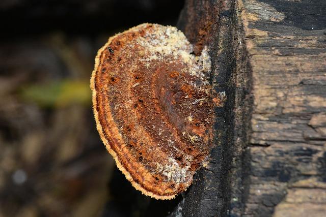 Důležité léky a strategie pro zvládání náhlého zhoršení při Parkinsonovi