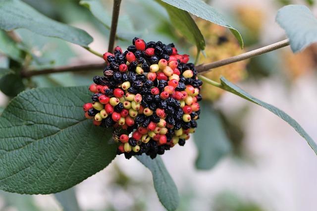 Zajímavé metody rehabilitace Parkinsona: co si vybrat?