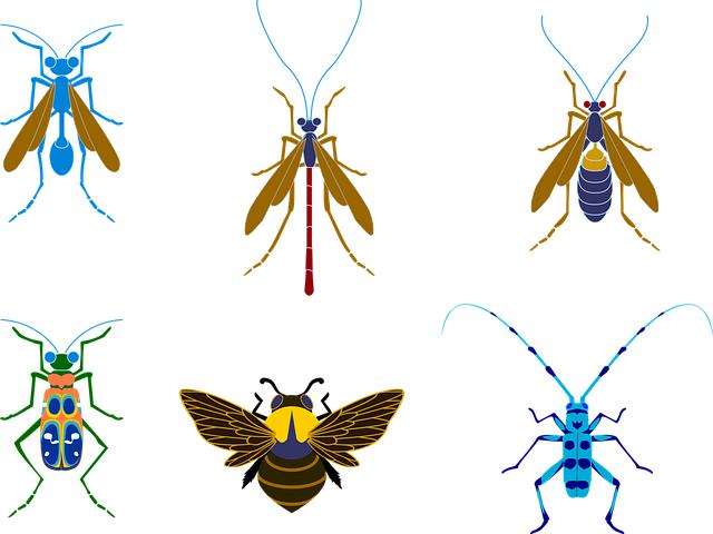 Doporučené lékařské a fyzioterapeutické postupy pro boj s boulemi na svalech ruky u Parkinsona