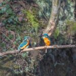 Najděte Co Za Dárek Babičce: Praktické Rady pro Výběr Dokonalého Dárku!