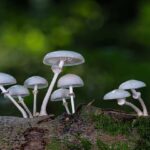 Ucpaný nos, hlen v krku a ztráta čichu: Jak se vypořádat s kombinovanými problémy