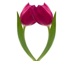 Tipy na Dárek Dědečkovi: Inspirace Pro Každý Věk a Zájem!