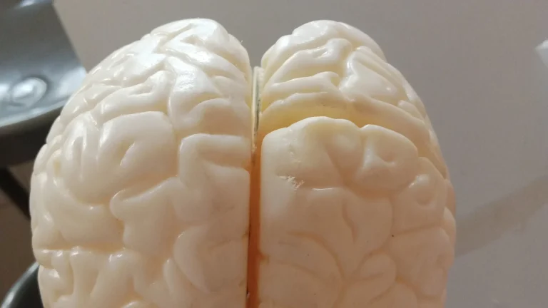Parkinsonova choroba a její stádia: Detailní průvodce vývojem nemoci a péčí v každé fázi